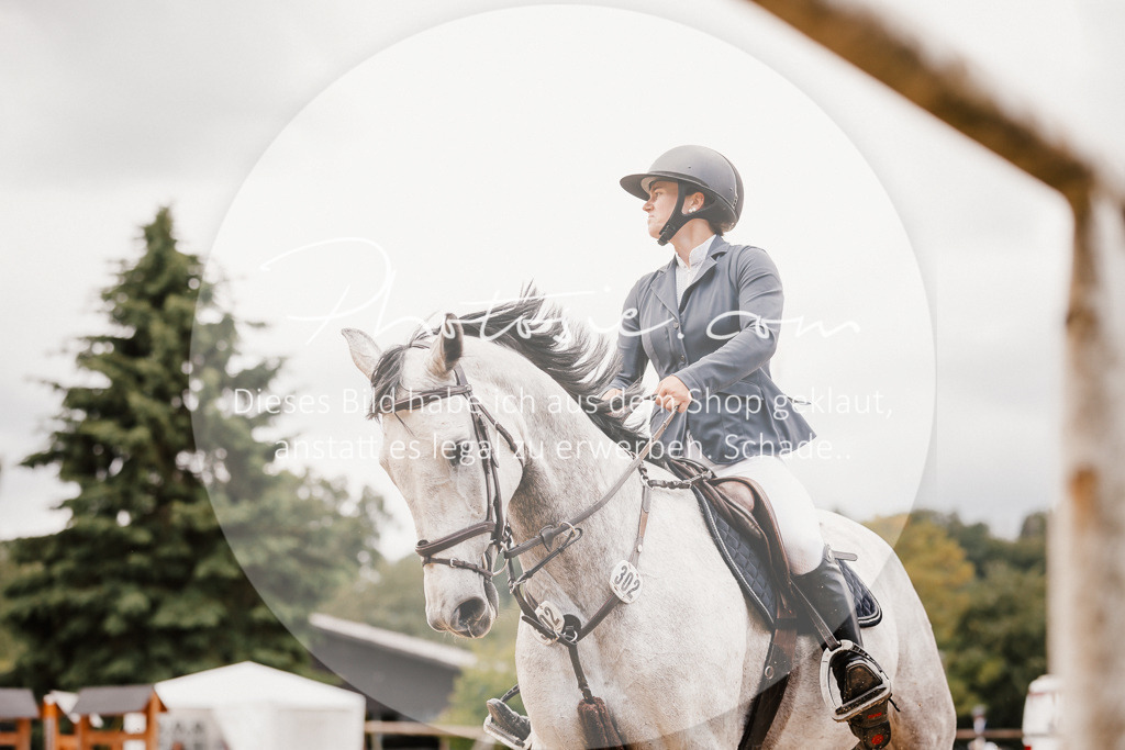 3I6A2433 | Stimmungsvolle Portraits und Reitsportfotografie im Ruhrgebiet und im Münsterland.

Pferdefotografie, Hundefotografie, Tierfotografie, Reportagen, Portraits von Tier und Mensch, Turnierfotografie in Bochum, Recklinghausen, Marl, Haltern am See, Dülmen.. - Realisiert mit Pictrs.com
