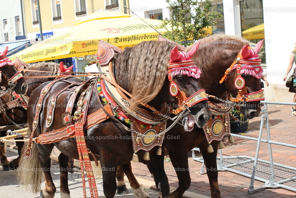 IMG_0327 | fotos-sportlich-belichtet - Realisiert mit Pictrs.com