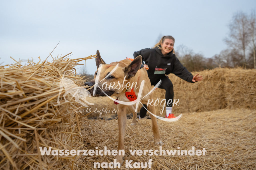 0831_ZZ93251 | kk-dogfotos