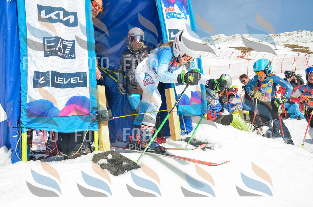 _ELE5731 | holidayphoto