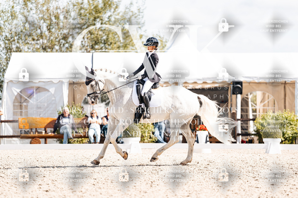 CK902956 | Turnierfotografie Pferdefotografie Trier Rheinland-Pfalz Pferdesport Reitsport Tierfotografie Sportfotografie Pferdevideo Pferdevideografie Equestrianvideography equestrianphotography  - Realisiert mit Pictrs.com