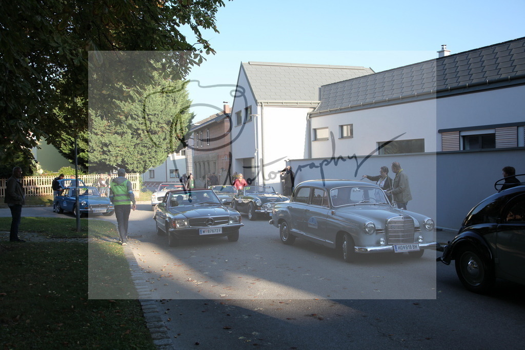 IMG_3841 | Gerhard Witt