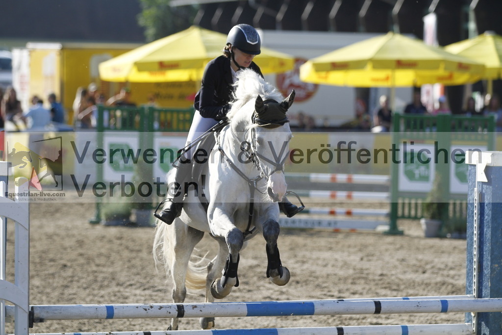 _MG_4253 | equestrian-live-com