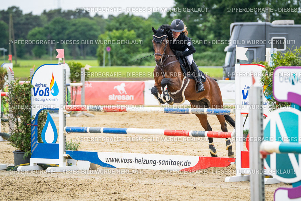 DSC06424 | Pferdegrafie