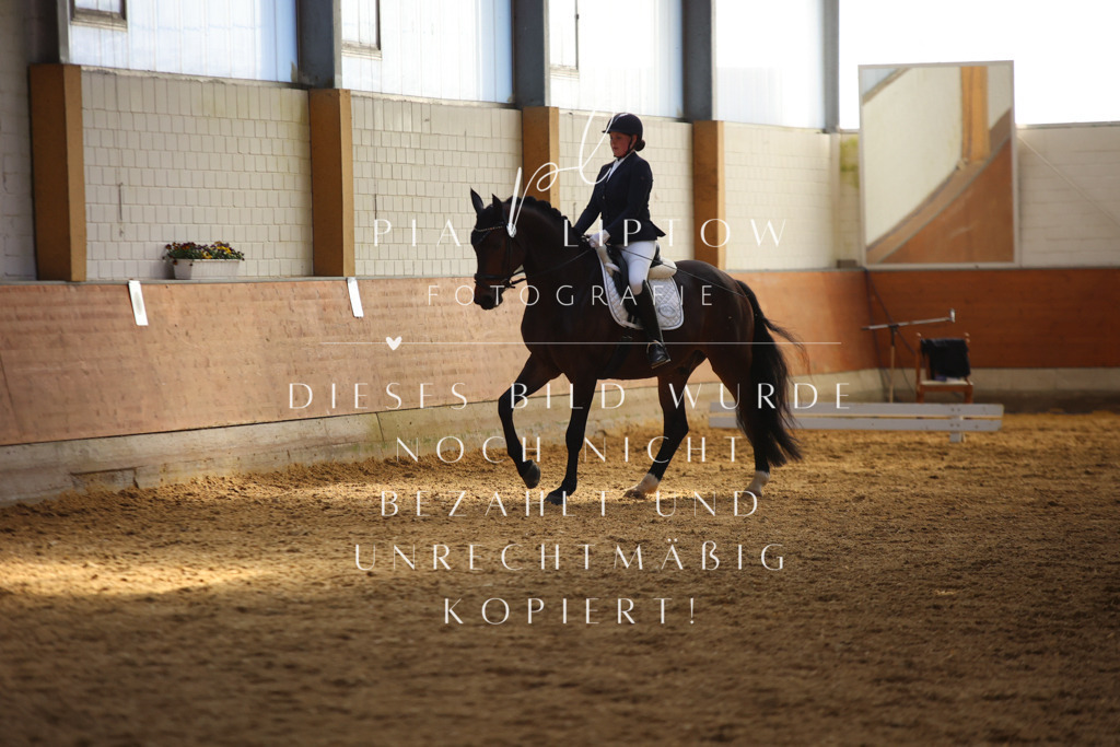 IMGT6914 | pl-fotografie