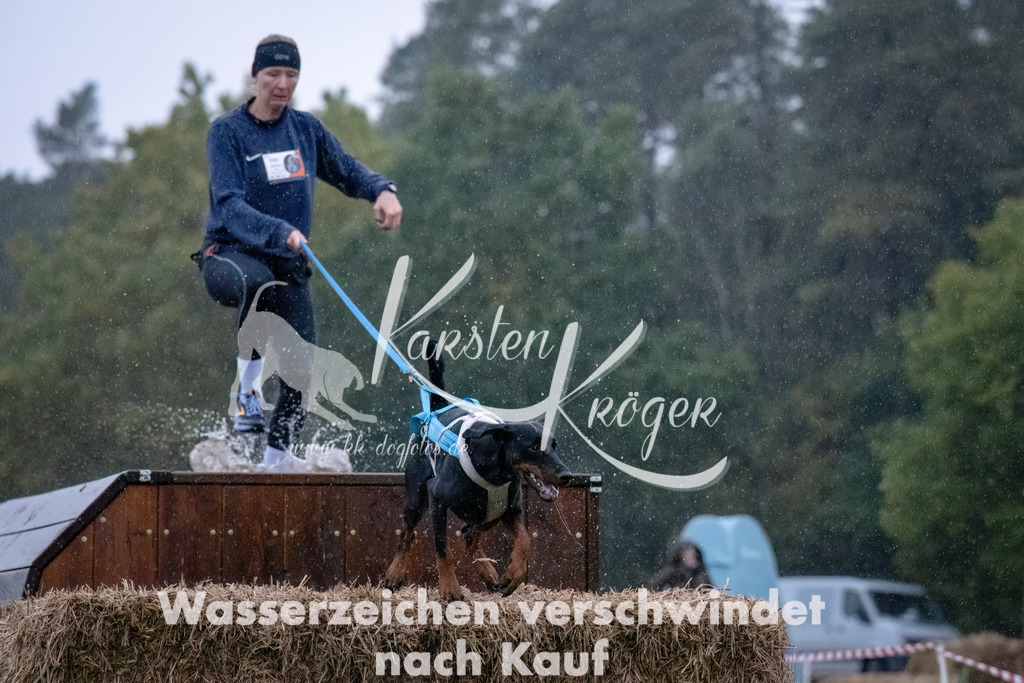 0828-_ZZ91396-Bearbeitet | kk-dogfotos