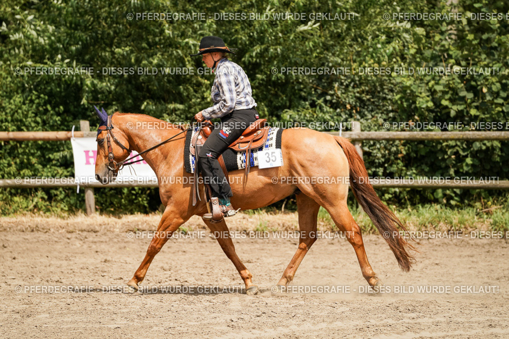 DSC09980 | Pferdegrafie