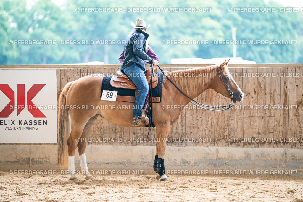 DSC03394 | Pferdegrafie