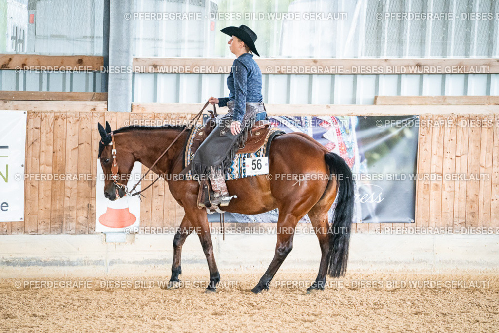 DSC09911 | Pferdegrafie