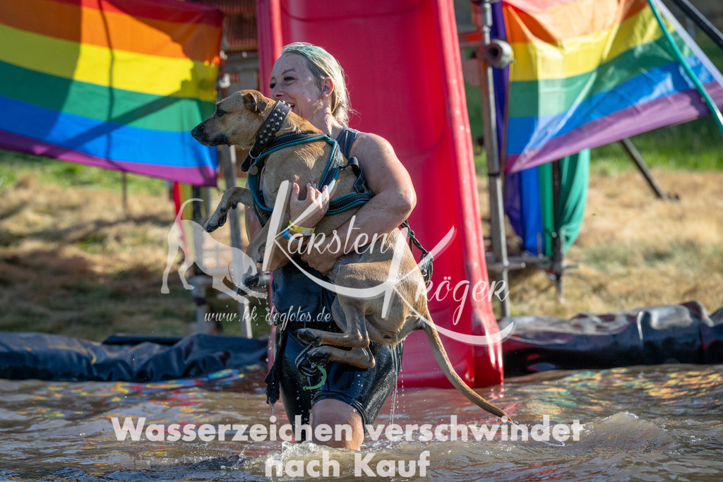 1706_ZZ93303 | kk-dogfotos