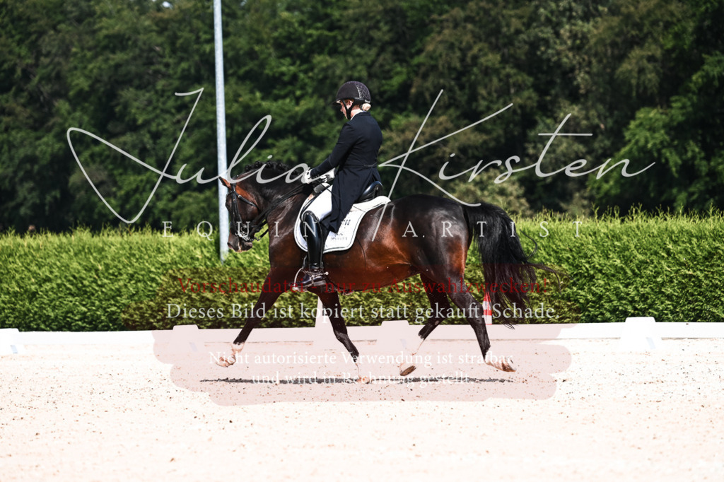 DSC_2936 | Pferde- und Turnierfotografie in Westsachsen. Pferdeportraits, Auftragszeichnungen und intuitive Kunst.