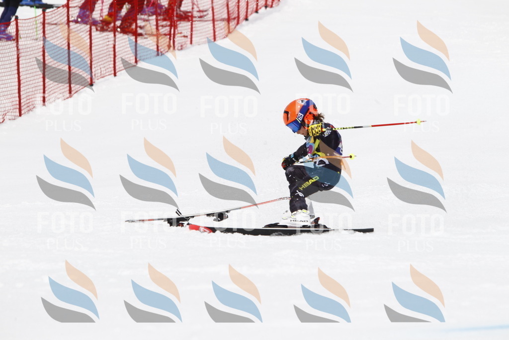 _U3G7644 | holidayphoto