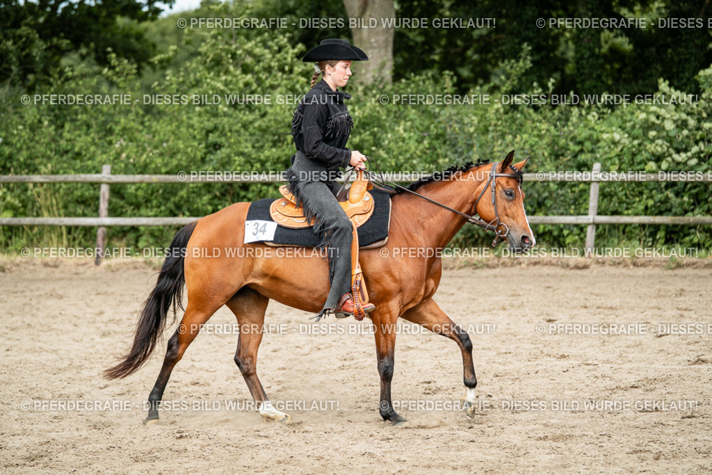 DSC02268 | Pferdegrafie