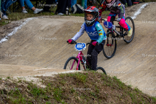 BayBMX2026-06173 | Fotogalerie von Thomas Dettweiler mit Eventbildern und lizenzfreien Fotos. Perfekt als Wandbild, für Büro, Website oder private Nutzung. - Realisiert mit Pictrs.com