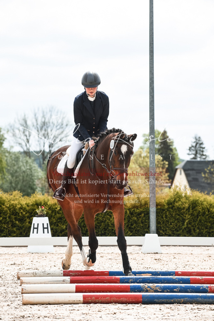 20230518_JK-Röhrsdorf-10-059 | Pferde- und Turnierfotografie in Westsachsen. Pferdeportraits, Auftragszeichnungen und intuitive Kunst.