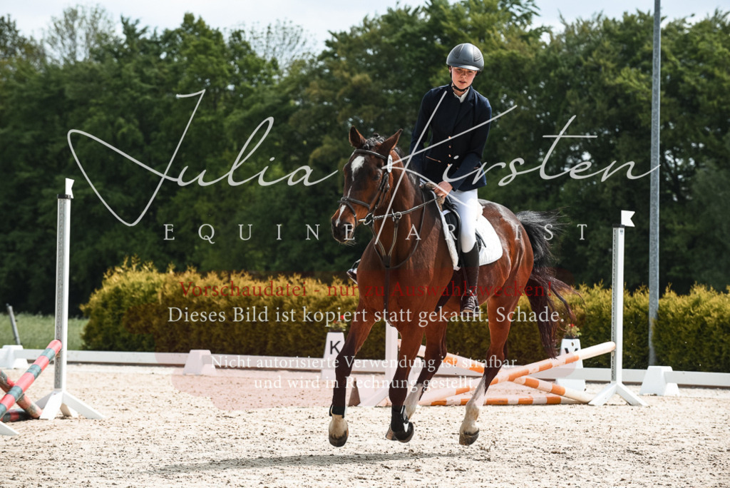 20230518_JK-Röhrsdorf-10-068 | Pferde- und Turnierfotografie in Westsachsen. Pferdeportraits, Auftragszeichnungen und intuitive Kunst.