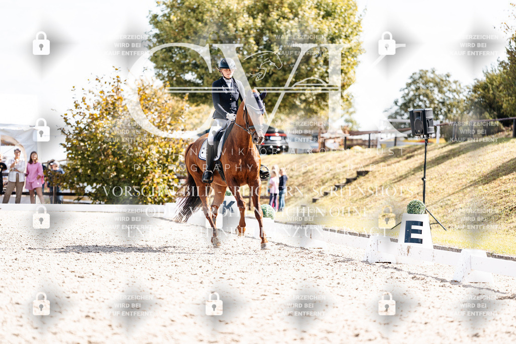 CK902636 | Turnierfotografie Pferdefotografie Trier Rheinland-Pfalz Pferdesport Reitsport Tierfotografie Sportfotografie Pferdevideo Pferdevideografie Equestrianvideography equestrianphotography  - Realisiert mit Pictrs.com