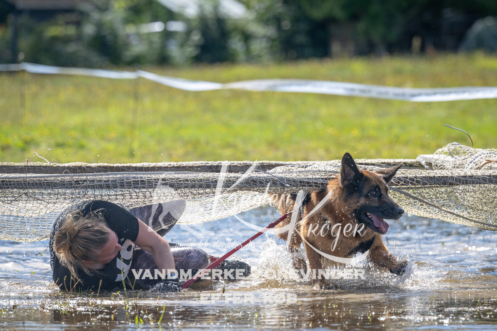 1242_ZZ91480 | kk-dogfotos