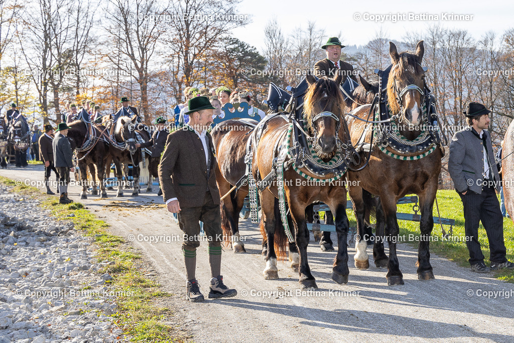 LBT24-1403 | foto-bettina-krinner - Realisiert mit Pictrs.com