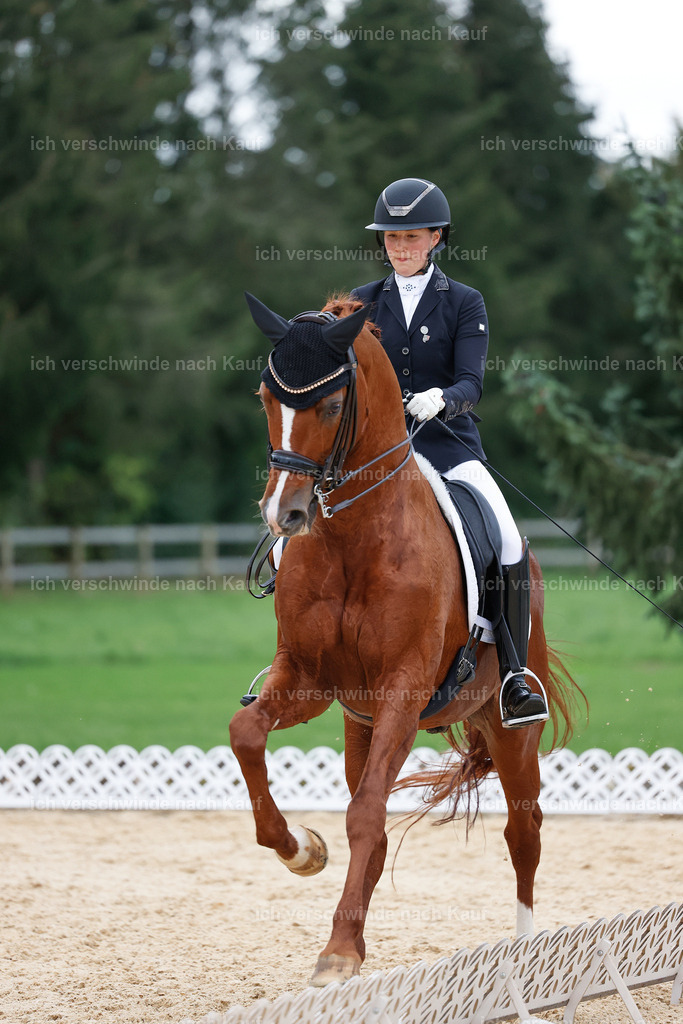 04_2-223-Dressur M__ -StoibPH-2968 | working equitationturnier fotograf videograf stoibphotography marixx film working equitation deutschland reitsport turnierfotografie eventfotografie equestrian events