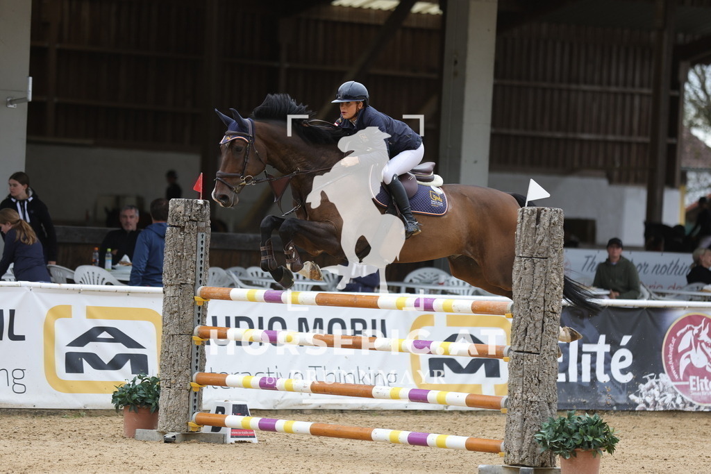 0P6A9872 | Willkommen bei Brunnmayr - Design & Fotografie – Ihrem Spezialisten für Reitturniere und Pferdeveranstaltungen in Oberösterreich, Salzburg und Bayern! Seit über 17 Jahren sind wir leidenschaftlich dabei.