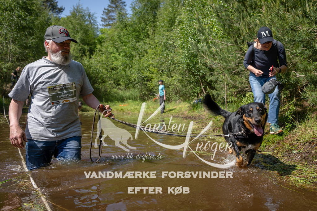 1514DKK992601 | kk-dogfotos