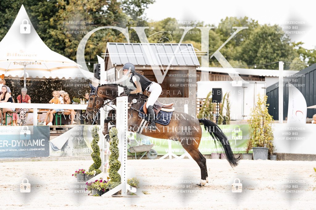 CK907961 | Turnierfotografie Pferdefotografie Trier Rheinland-Pfalz Pferdesport Reitsport Tierfotografie Sportfotografie Pferdevideo Pferdevideografie Equestrianvideography equestrianphotography  - Realisiert mit Pictrs.com