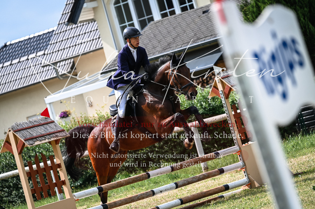 DSC_8405 | Pferde- und Turnierfotografie in Westsachsen. Pferdeportraits, Auftragszeichnungen und intuitive Kunst.