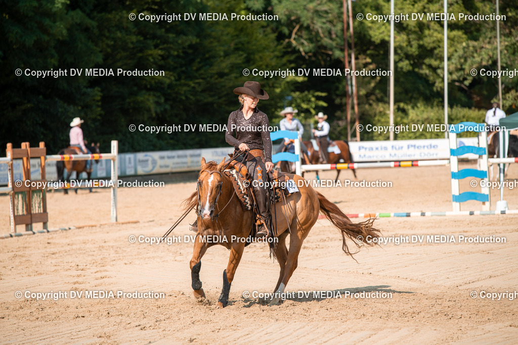 ZS2_8768 | dv-media-shop - Realisiert mit Pictrs.com