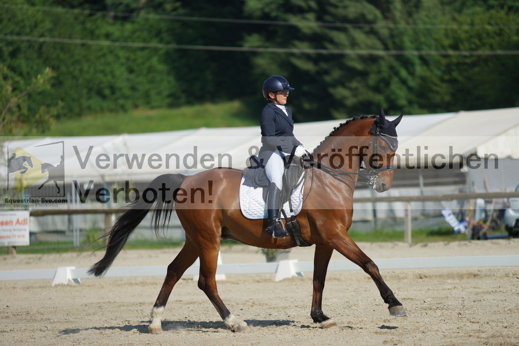 DSC02512 | equestrian-live-com