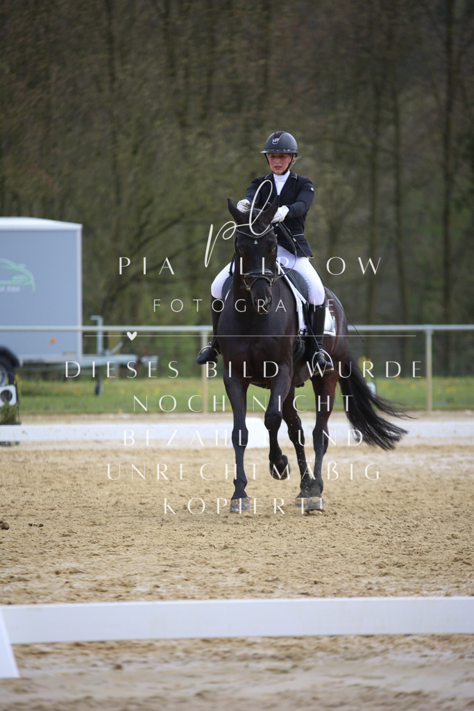 IMGT6221 | pl-fotografie