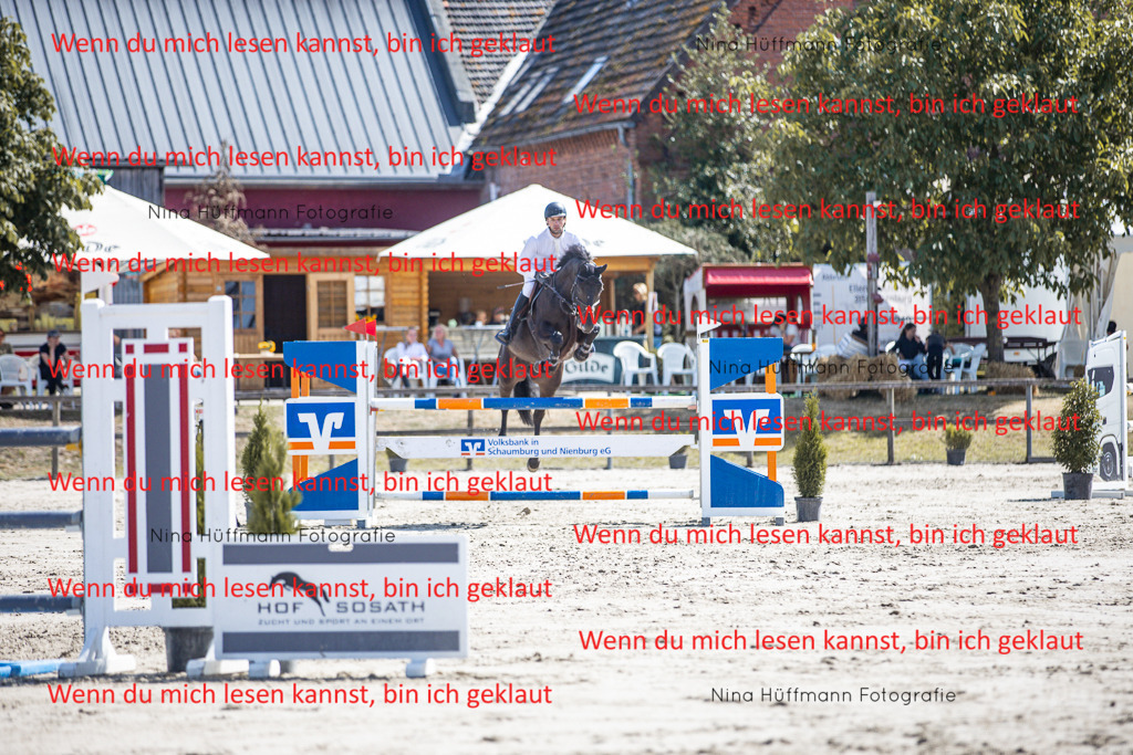 BK1A6352 | Turnierbilder Turnierfotos Nina Hüffmann Turnierfotografie Pferdefotografie Tierzeichnung Haustierzeichnung Pferdezeichnung Hundezeichnung Videograf  - Realisiert mit Pictrs.com