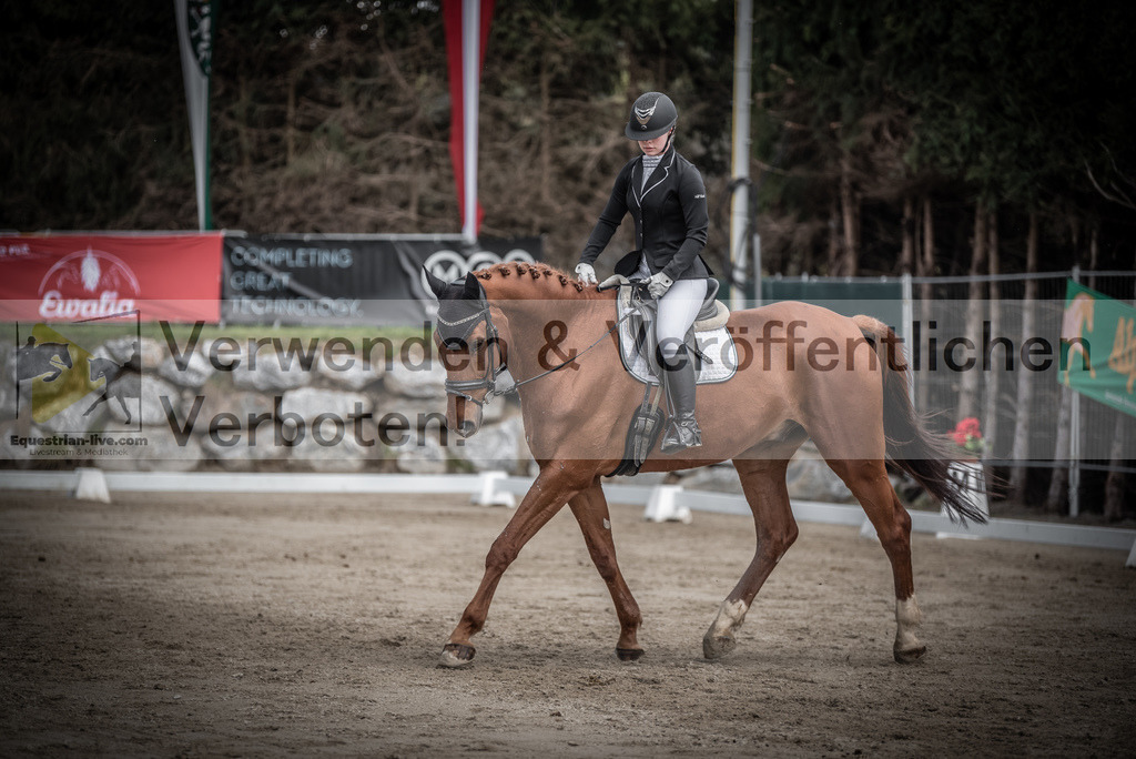 DSC_0782 | equestrian-live-com