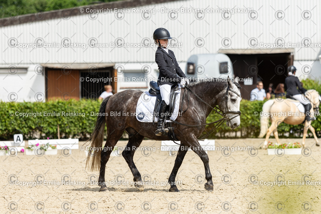 CL5A1111 | Emilia Reinking Fotografie - Realisiert mit Pictrs.com