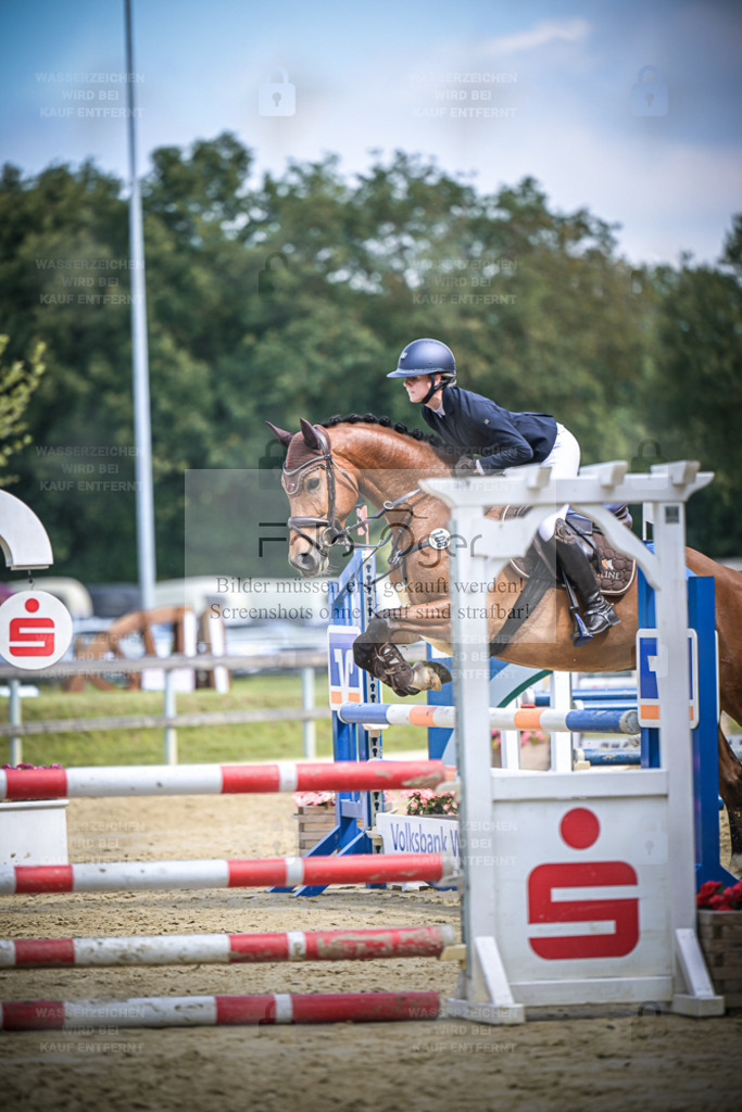 DOS_9481 | Entdecke hochwertige Reitturnierfotos von Foto Oger. Professionell, emotional und authentisch – jetzt Lieblingsmomente im Shop bestellen. - Realisiert mit Pictrs.com
