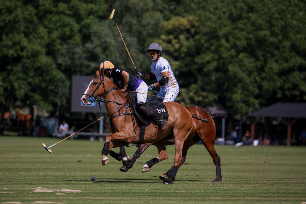 1_LaMaisonVsEasybill.de_200525_018 | Bildergalerie von Sport-Ereignissen aber auch von weiteren spannenden Dingen - nicht nur vom Niederrhein. In Anlehnung an den bekannten Spruch von Hanns Dieter Hüsch heißt das Motto: "Niederrhein ist überall".  - Realisiert mit Pictrs.com