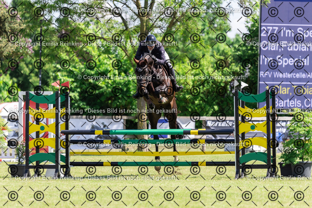 CL5A8565 | Emilia Reinking Fotografie - Realisiert mit Pictrs.com