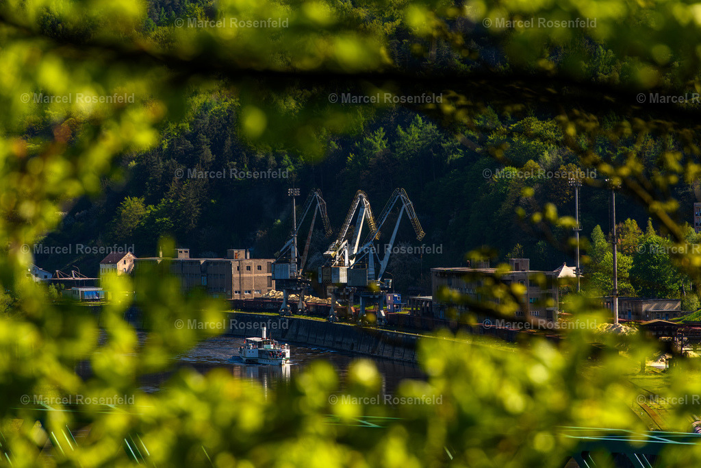 _DSC3698 | foto-rosenfeld