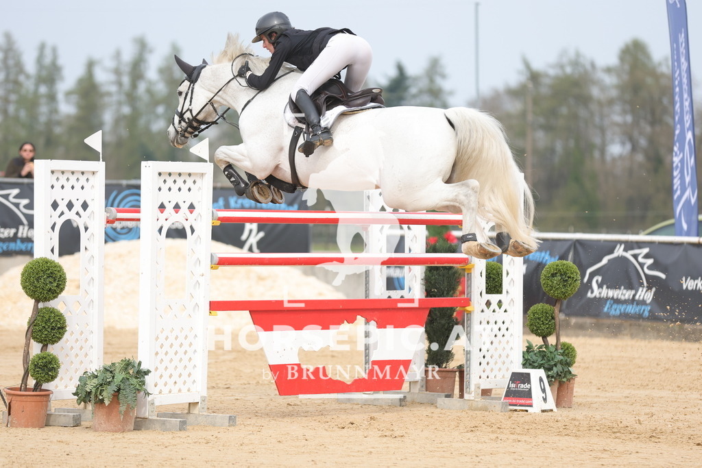0P6A7074 | Willkommen bei Brunnmayr - Design & Fotografie – Ihrem Spezialisten für Reitturniere und Pferdeveranstaltungen in Oberösterreich, Salzburg und Bayern! Seit über 17 Jahren sind wir leidenschaftlich dabei.