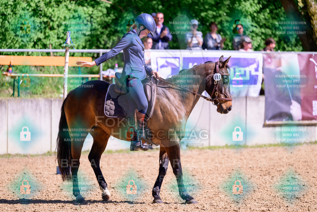 01052026-Giesenbach-02-Stiltrail-0684 | Fokus Hufschlag Fotografie - Realisiert mit Pictrs.com