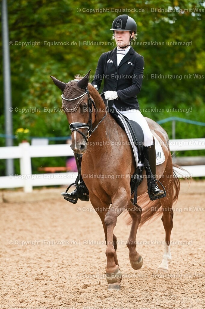20230715_07_Dressurpferdeprfg. Kl.L_0056 | equistock