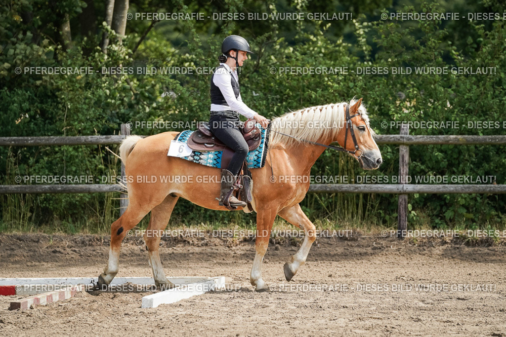 DSC07143 | Pferdegrafie