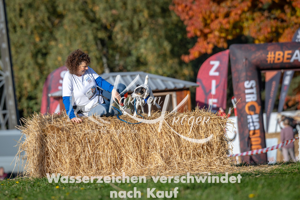 0958_ZZ91665 | kk-dogfotos