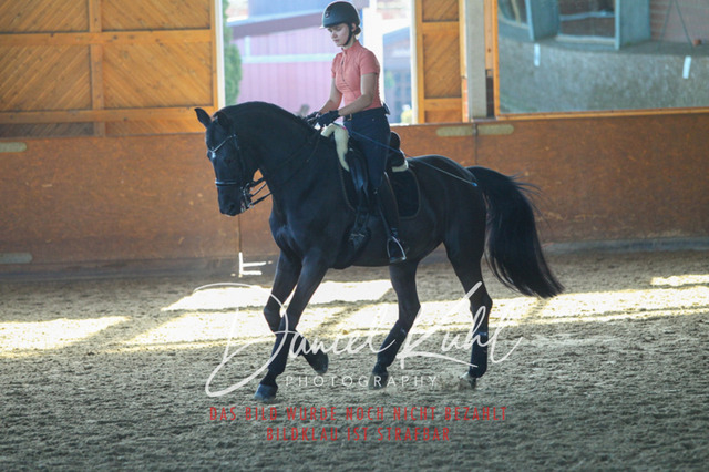 DKP42306 | Turniersportfotografie; Pferdefotografie; Dressurfotografie