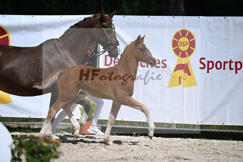 Don Schufro x Don Massimo_HF_Aumer_10250135 | hf-fotografie - Realizzato con Pictrs.com