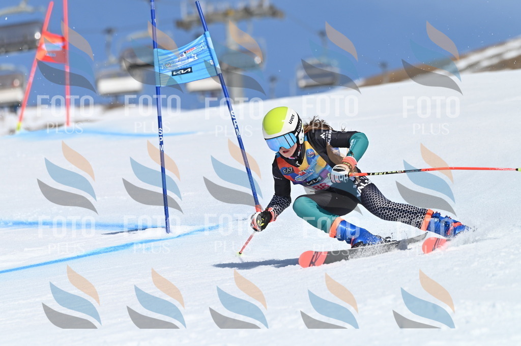 BGV_9218 | holidayphoto