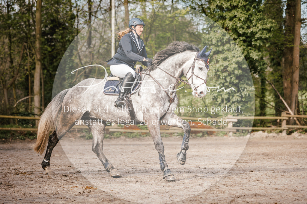 3I6A3435 | Stimmungsvolle Portraits und Reitsportfotografie im Ruhrgebiet und im Münsterland.

Pferdefotografie, Hundefotografie, Tierfotografie, Reportagen, Portraits von Tier und Mensch, Turnierfotografie in Bochum, Recklinghausen, Marl, Haltern am See, Dülmen.. - Realisiert mit Pictrs.com