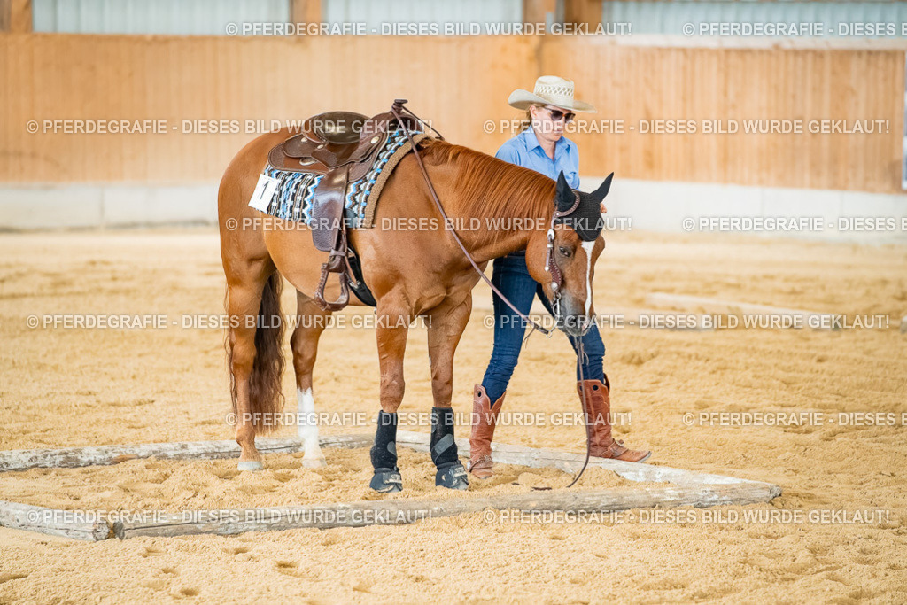 DSC07449 | Pferdegrafie