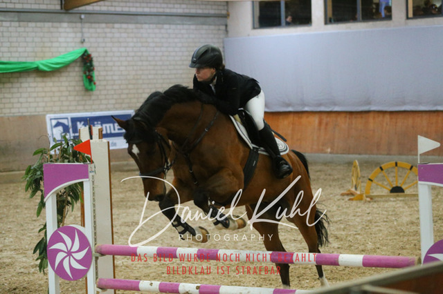 IMG_0681 | Turnierfotos kaufen im Webshop von Daniel Kuhl Photography – entdecke professionelle Reitsportfotos aus Turnieren & Events. Hochwertige Turnierbilder online bestellen & sichern. Jetzt Fotos von Reitsportturnieren kaufen!