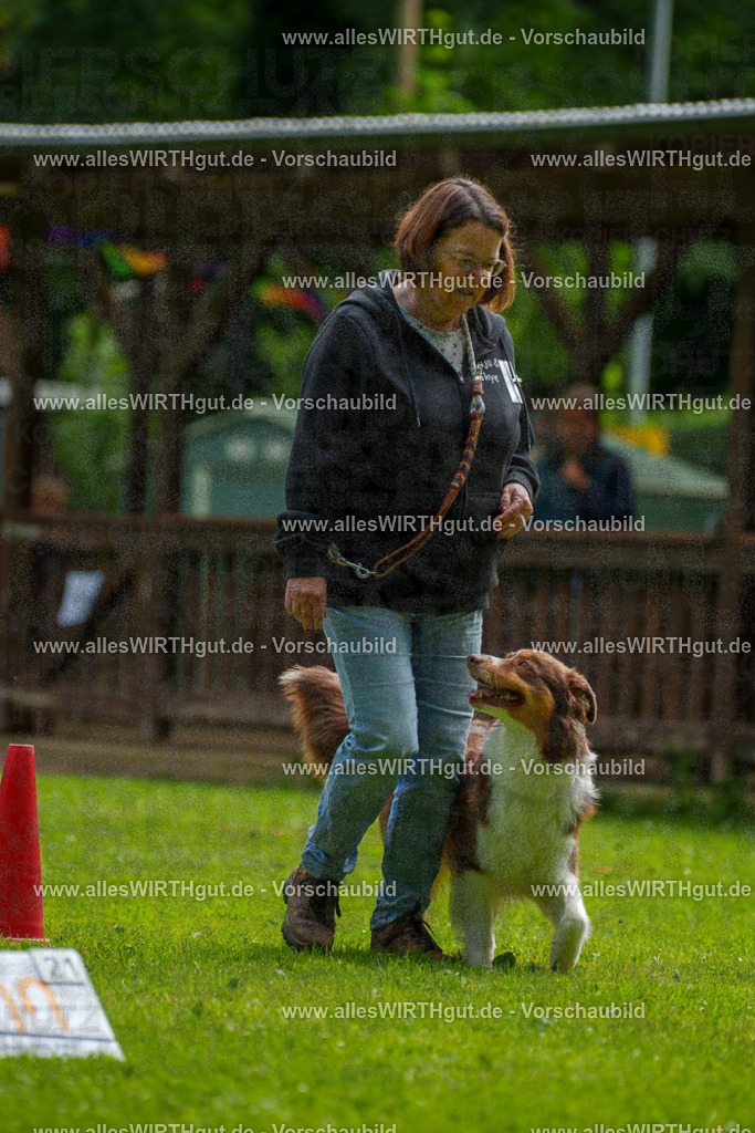 @allesWIRTHgut_Tierfotografie - www.allesWIRTHgut.de - 094633-7R507603 | Professionelle Tierfotografie in Mönchengladbach von Daniel Wirth (allesWIRTHgut). Liebevolle & natürliche Bilder von Hunden & Katzen für unvergessliche Erinnerungen.